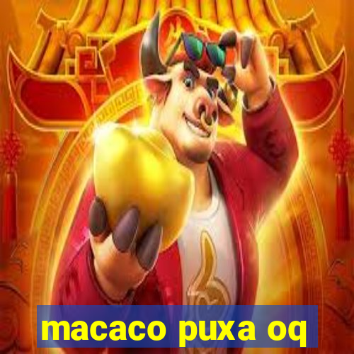 macaco puxa oq